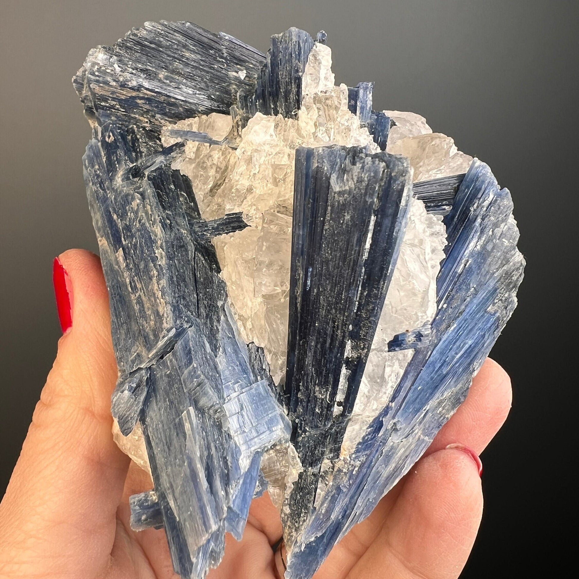 Perfect Piece!Blue Kyanite Mineral Specimen for Collection