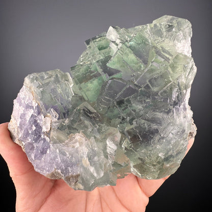 Amazing Clarity! Gemmy Green&Purple Fluorite Crystal