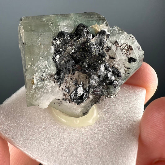 For Collection! Apatite with Pyrite Crystal from Portugal