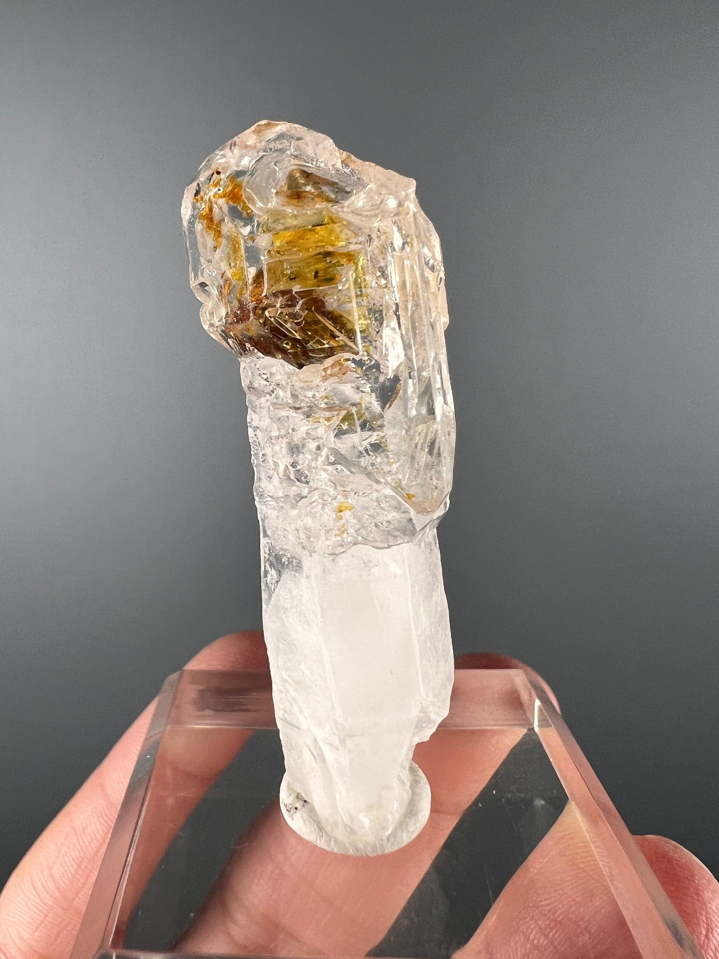 Scepter Firefly Quartz , Golden Enhydro UV Reactive Petroleum Included Quartz Crystal