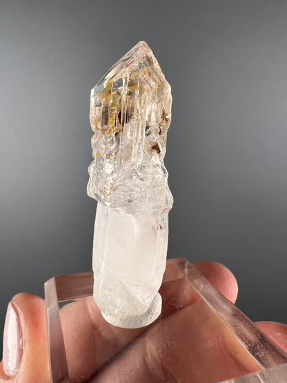 Scepter Firefly Quartz , Golden Enhydro UV Reactive Petroleum Included Quartz Crystal