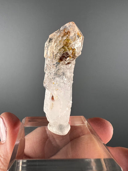 Scepter Firefly Quartz , Golden Enhydro UV Reactive Petroleum Included Quartz Crystal