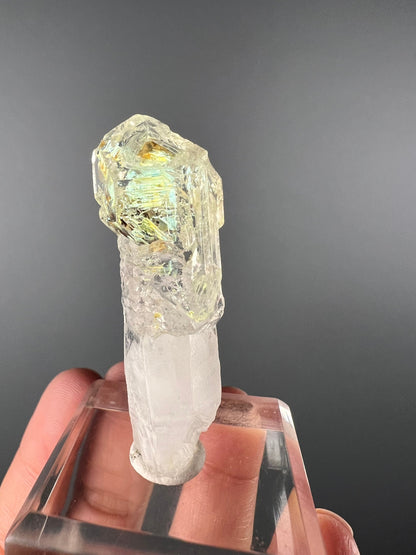 Scepter Firefly Quartz , Golden Enhydro UV Reactive Petroleum Included Quartz Crystal