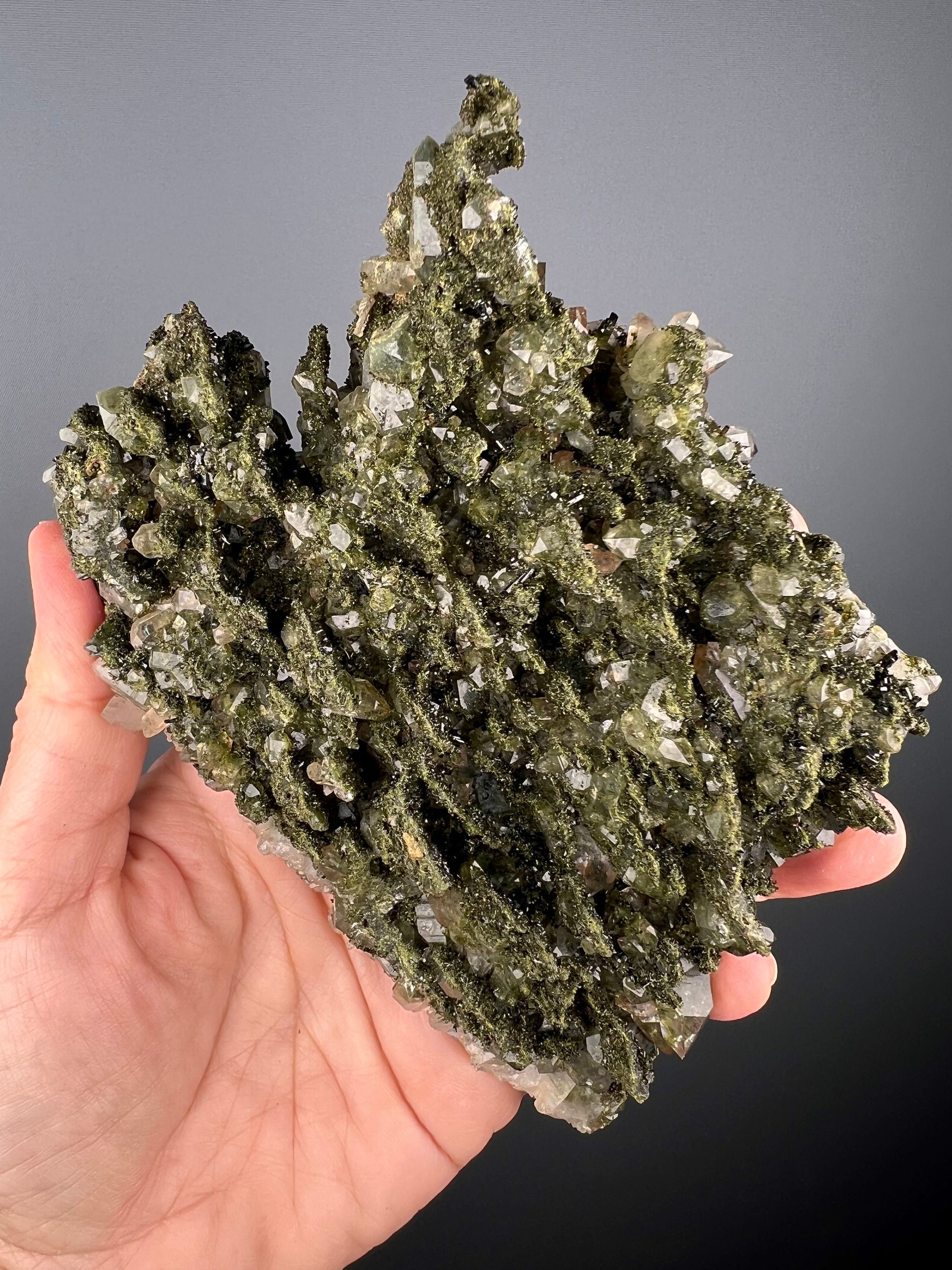 Forest Epidote with Quartz, Extra Sparkly Green Epidote with Quartz Specimen