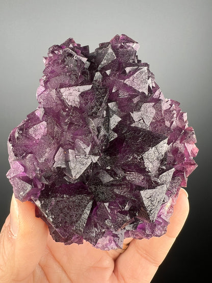 Stunning Octahedral Reddish Purple Fluorites from Zheijang,China