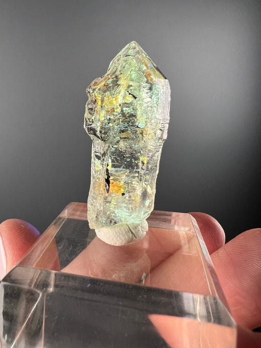 Scepter Firefly Quartz , Golden Enhydro UV Reactive Petroleum Included Quartz Crystal