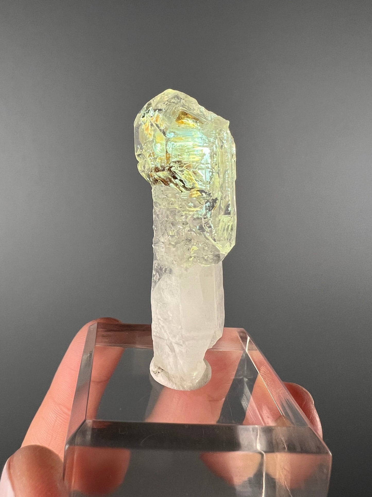 Scepter Firefly Quartz , Golden Enhydro UV Reactive Petroleum Included Quartz Crystal