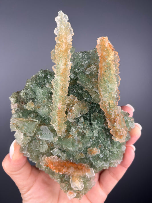 Rare Piece! Green-Yellow Halite Stallactites with Atacamite Specimen