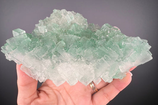 Rare Formation! Transparent Gemmy Cubic Green Halite with Gypsum Crystal Specimen from Poland