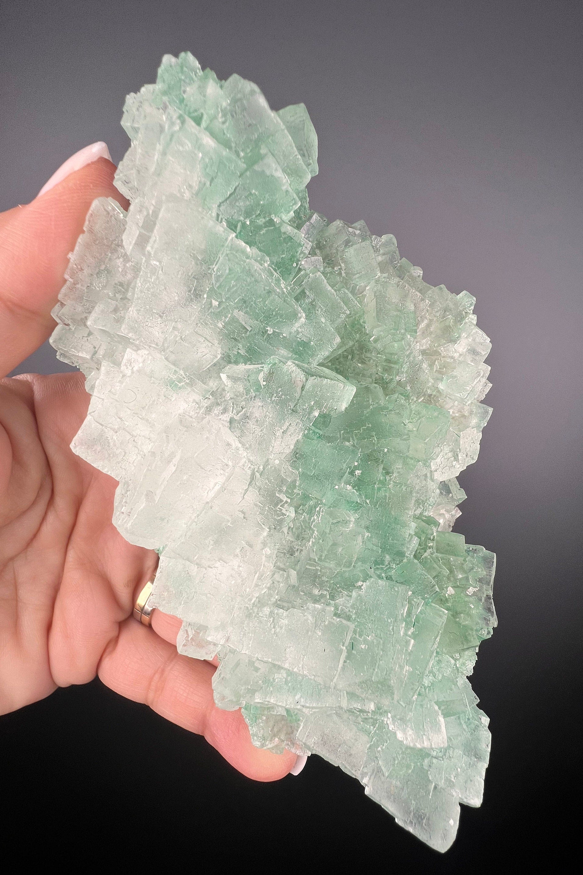 Rare Formation! Transparent Gemmy Cubic Green Halite with Gypsum Crystal Specimen from Poland