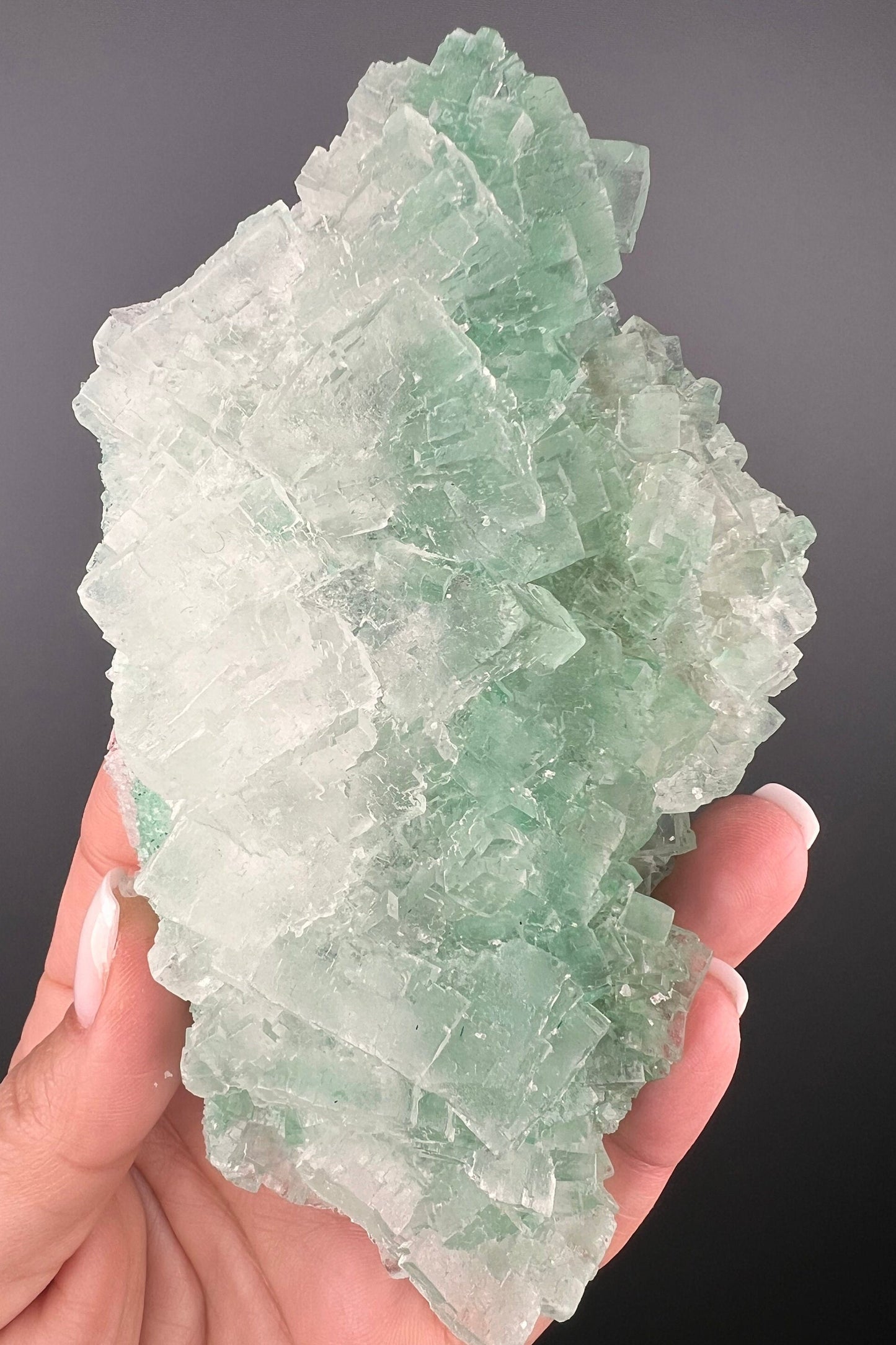 Rare Formation! Transparent Gemmy Cubic Green Halite with Gypsum Crystal Specimen from Poland