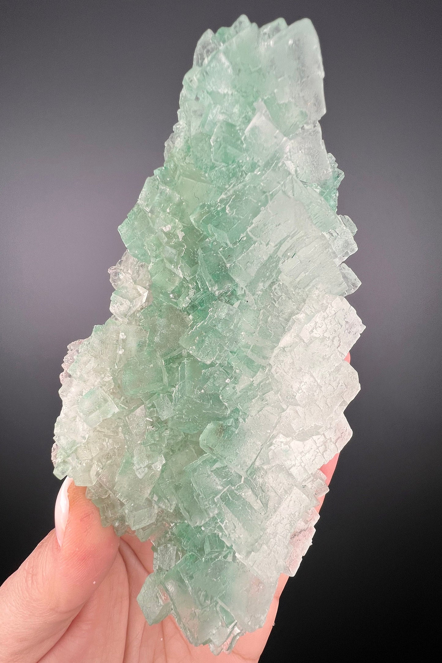 Rare Formation! Transparent Gemmy Cubic Green Halite with Gypsum Crystal Specimen from Poland