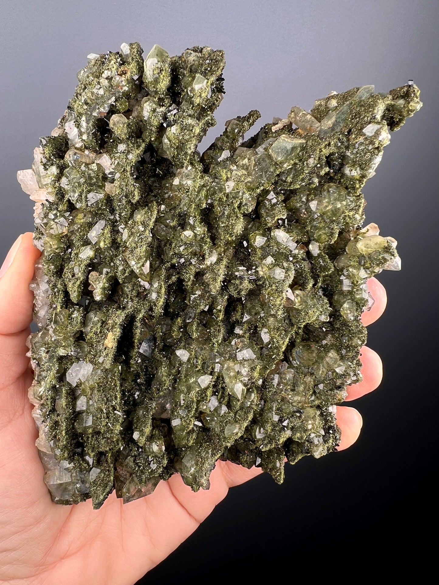 Forest Epidote with Quartz, Extra Sparkly Green Epidote with Quartz Specimen