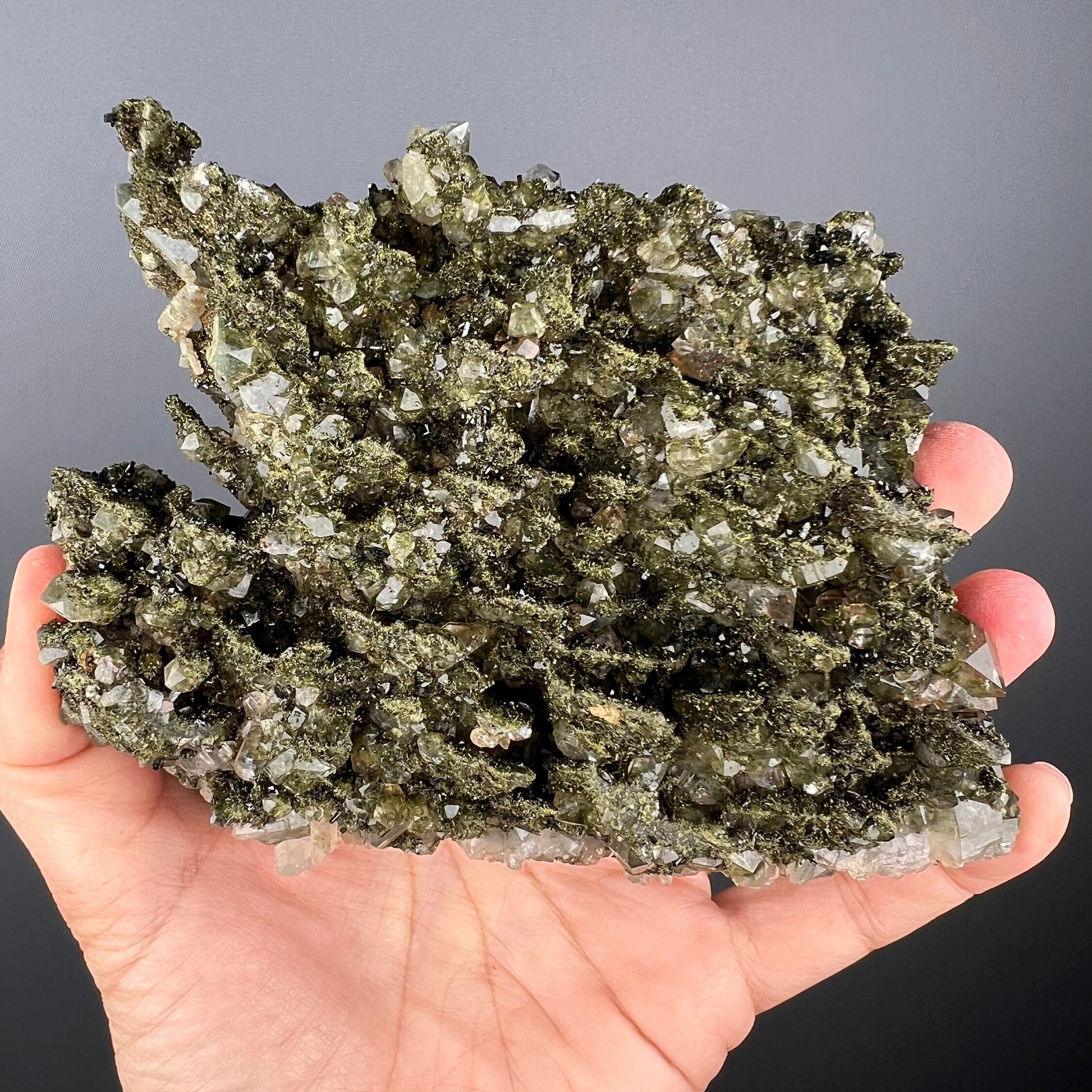 Forest Epidote with Quartz, Extra Sparkly Green Epidote with Quartz Specimen