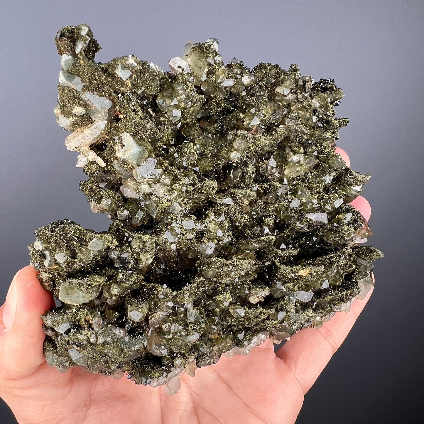 Forest Epidote with Quartz, Extra Sparkly Green Epidote with Quartz Specimen