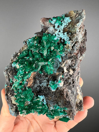 Stunning! Emerald Green Dioptase with Blue Shattuckite Spray and Calcite Mineral Specimen