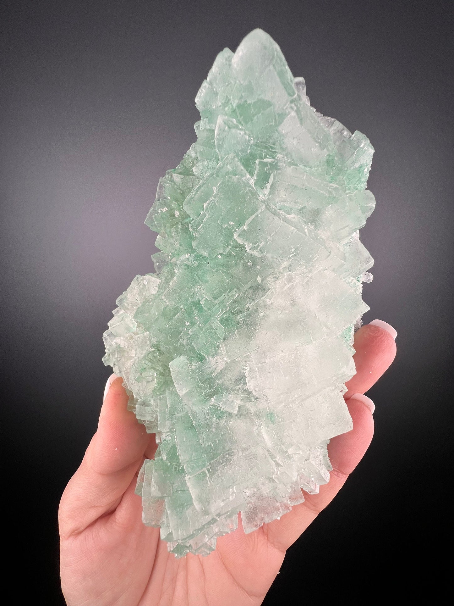 Rare Formation! Transparent Gemmy Cubic Green Halite with Gypsum Crystal Specimen from Poland