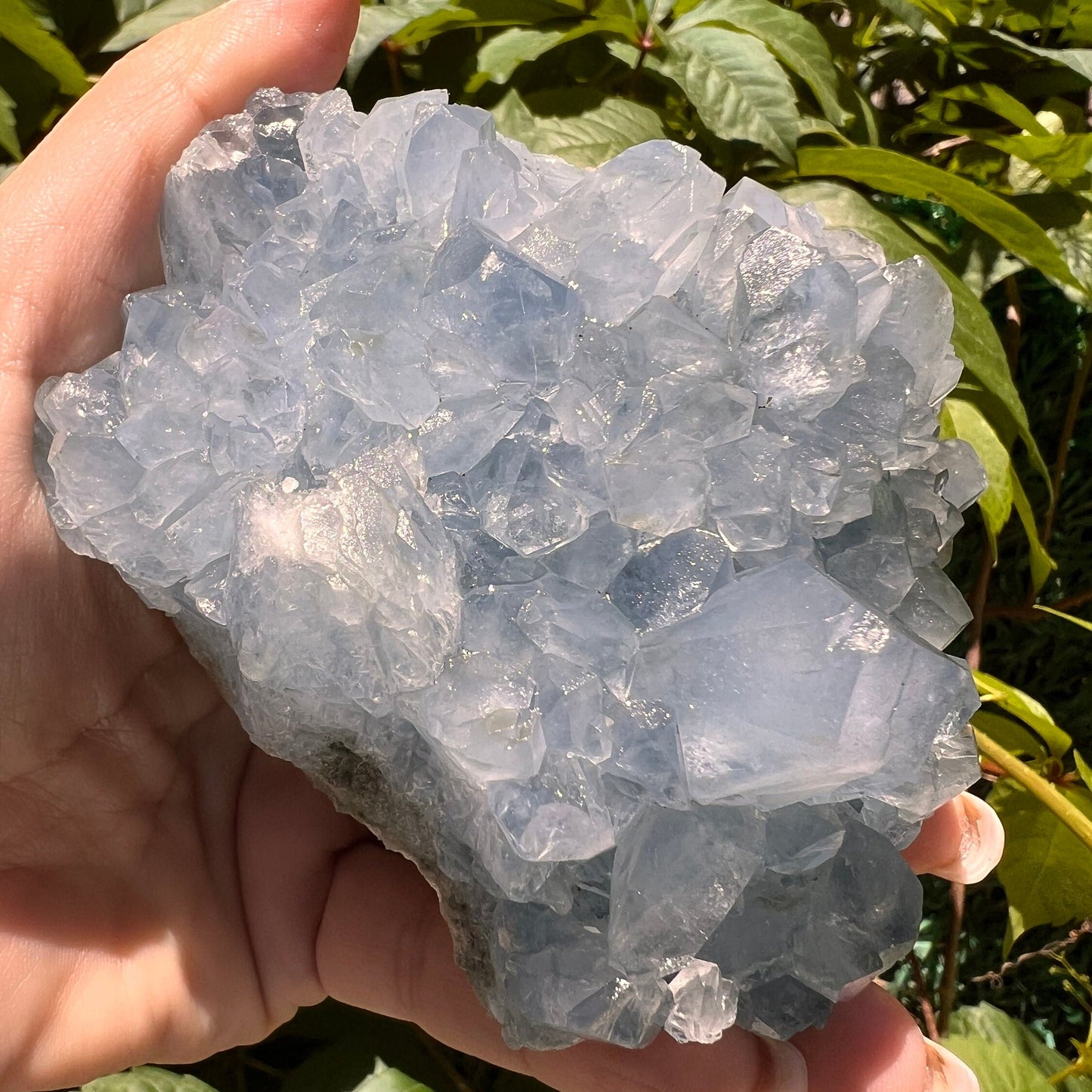 Excellent Color! Sky Blue Celestite (Celestine) Crystal