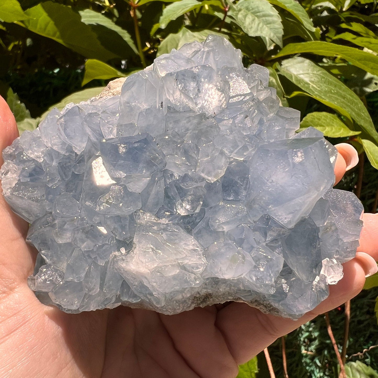 Excellent Color! Sky Blue Celestite (Celestine) Crystal