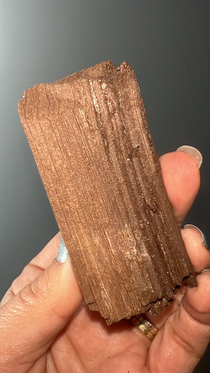 Rare!Triassic Permineralized Fossil Wood with Sparkling Druzy Crystals From Germany