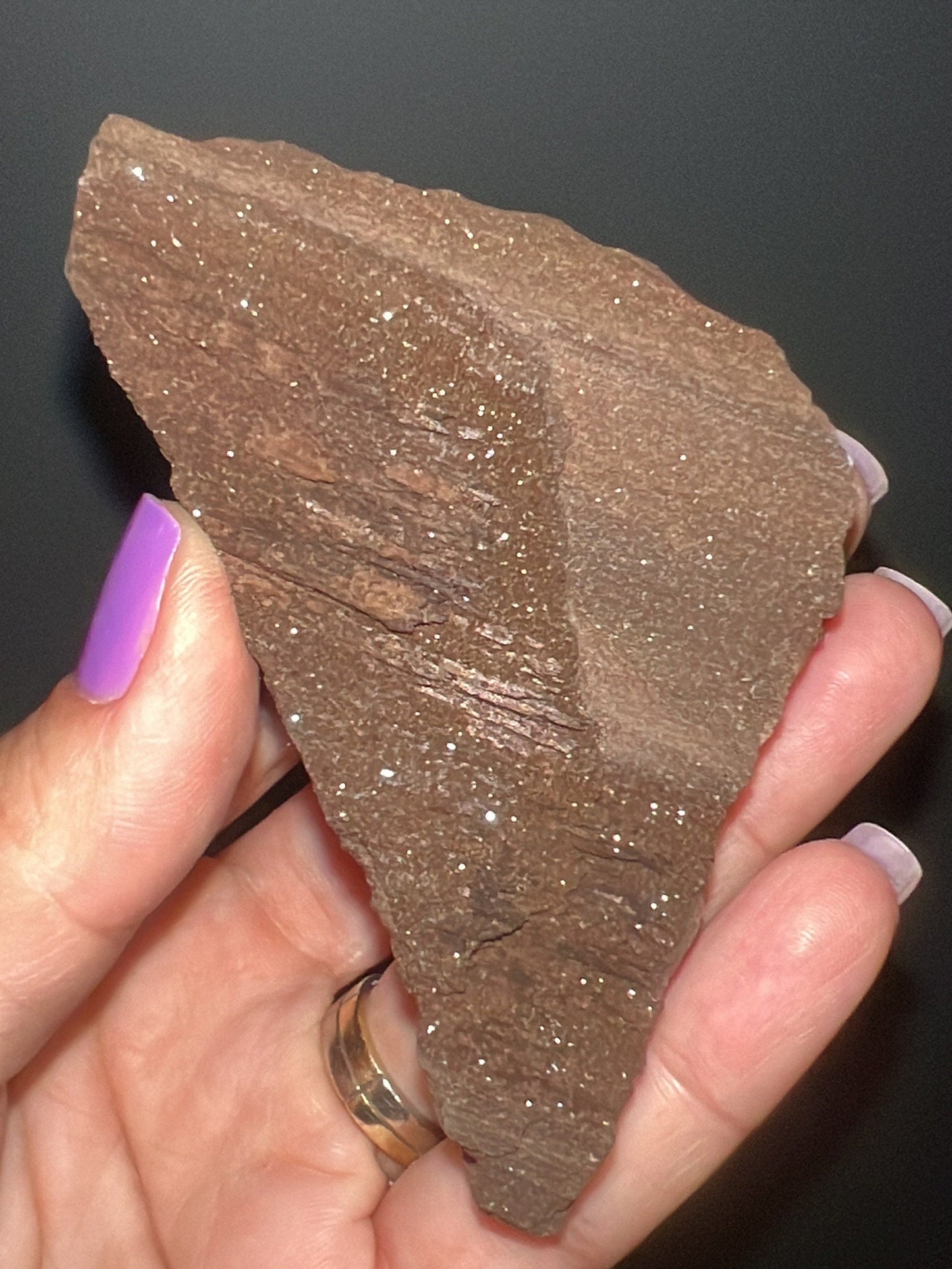 Rare!Triassic Permineralized Fossil Wood with Sparkling Druzy Crystals From Germany