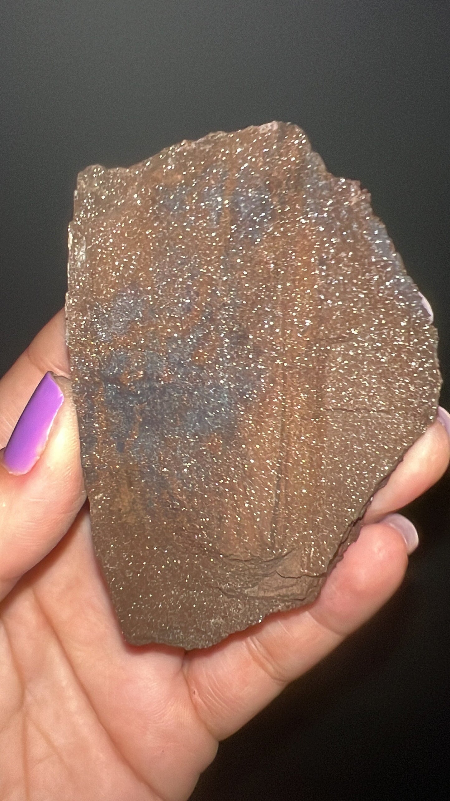 Rare!Triassic Permineralized Fossil Wood with Sparkling Druzy Crystals From Germany