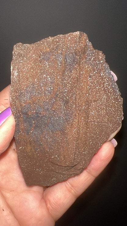 Rare!Triassic Permineralized Fossil Wood with Sparkling Druzy Crystals From Germany