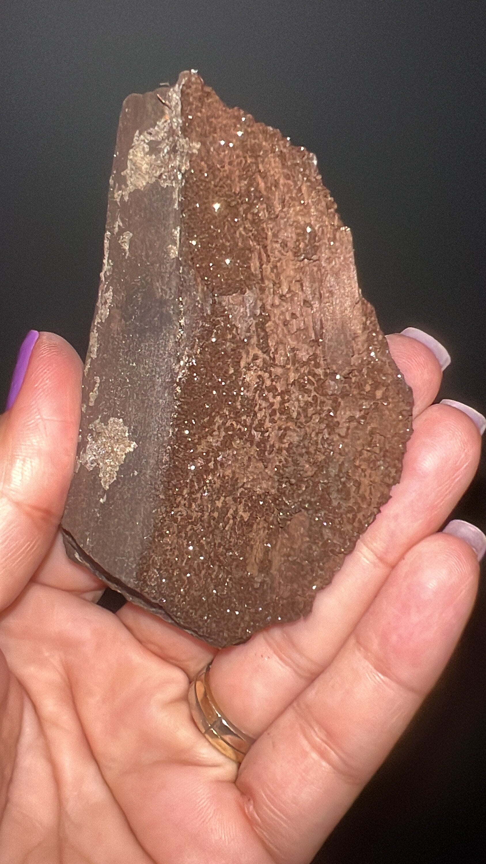 Rare!Triassic Permineralized Fossil Wood with Sparkling Druzy Crystals From Germany