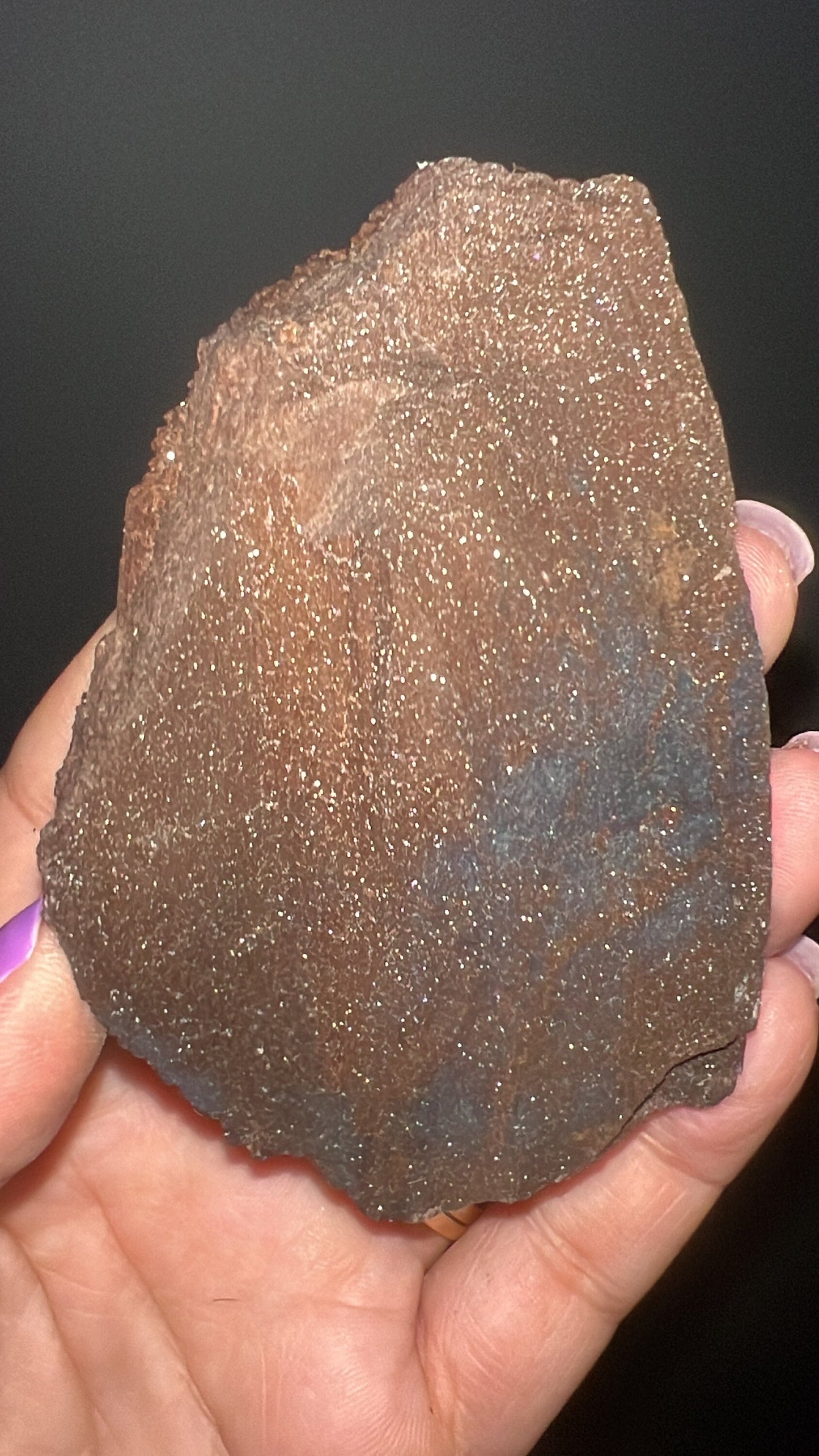 Rare!Triassic Permineralized Fossil Wood with Sparkling Druzy Crystals From Germany