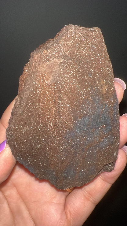 Rare!Triassic Permineralized Fossil Wood with Sparkling Druzy Crystals From Germany