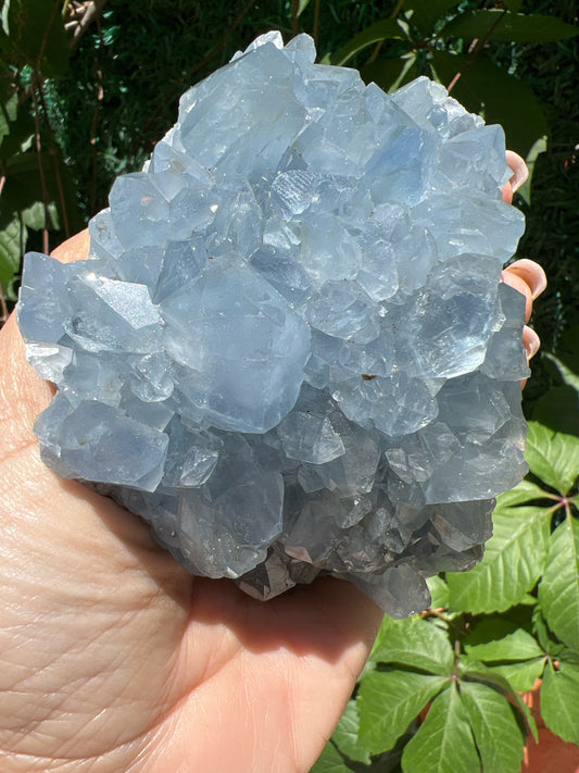 Excellent Color! Sky Blue Celestite (Celestine) Crystal