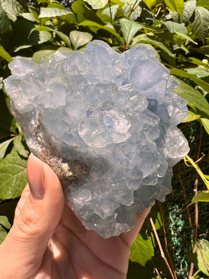 Excellent Color! Sky Blue Celestite (Celestine) Crystal