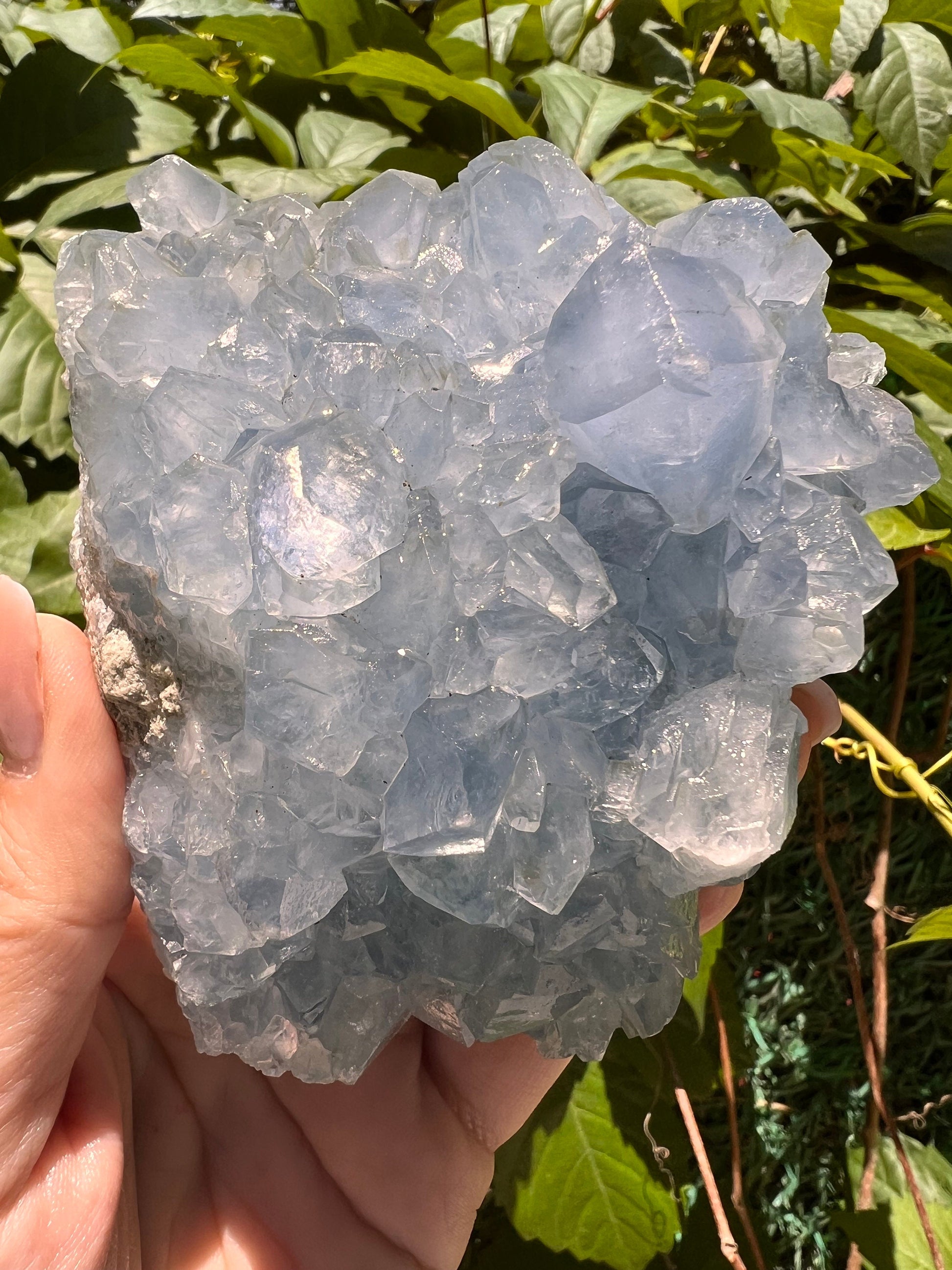 Excellent Color! Sky Blue Celestite (Celestine) Crystal