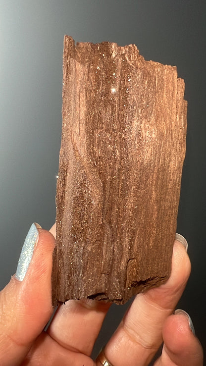 Rare!Triassic Permineralized Fossil Wood with Sparkling Druzy Crystals From Germany