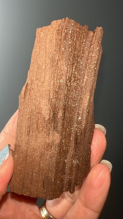 Rare!Triassic Permineralized Fossil Wood with Sparkling Druzy Crystals From Germany