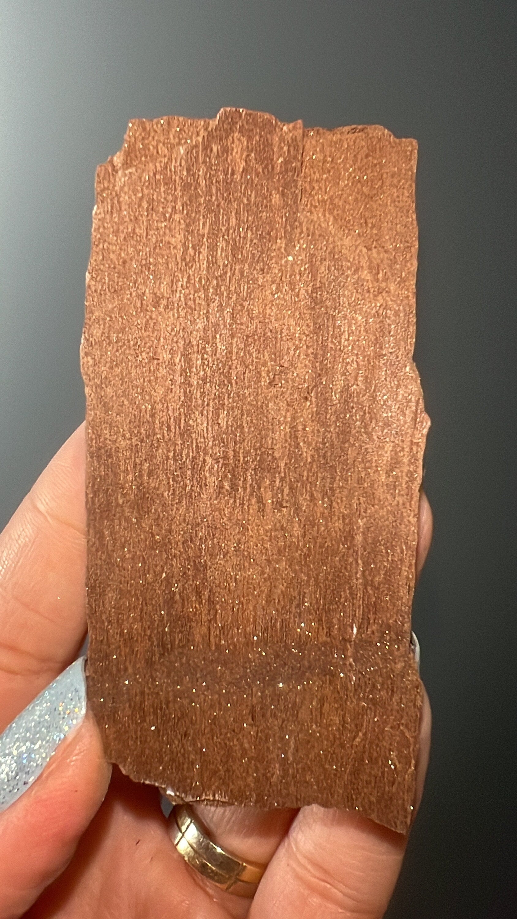 Rare!Triassic Permineralized Fossil Wood with Sparkling Druzy Crystals From Germany