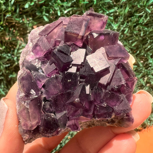 Amazing Piece!Purple Fluorite Specimen with Phantoms From Okorusu,Namibia