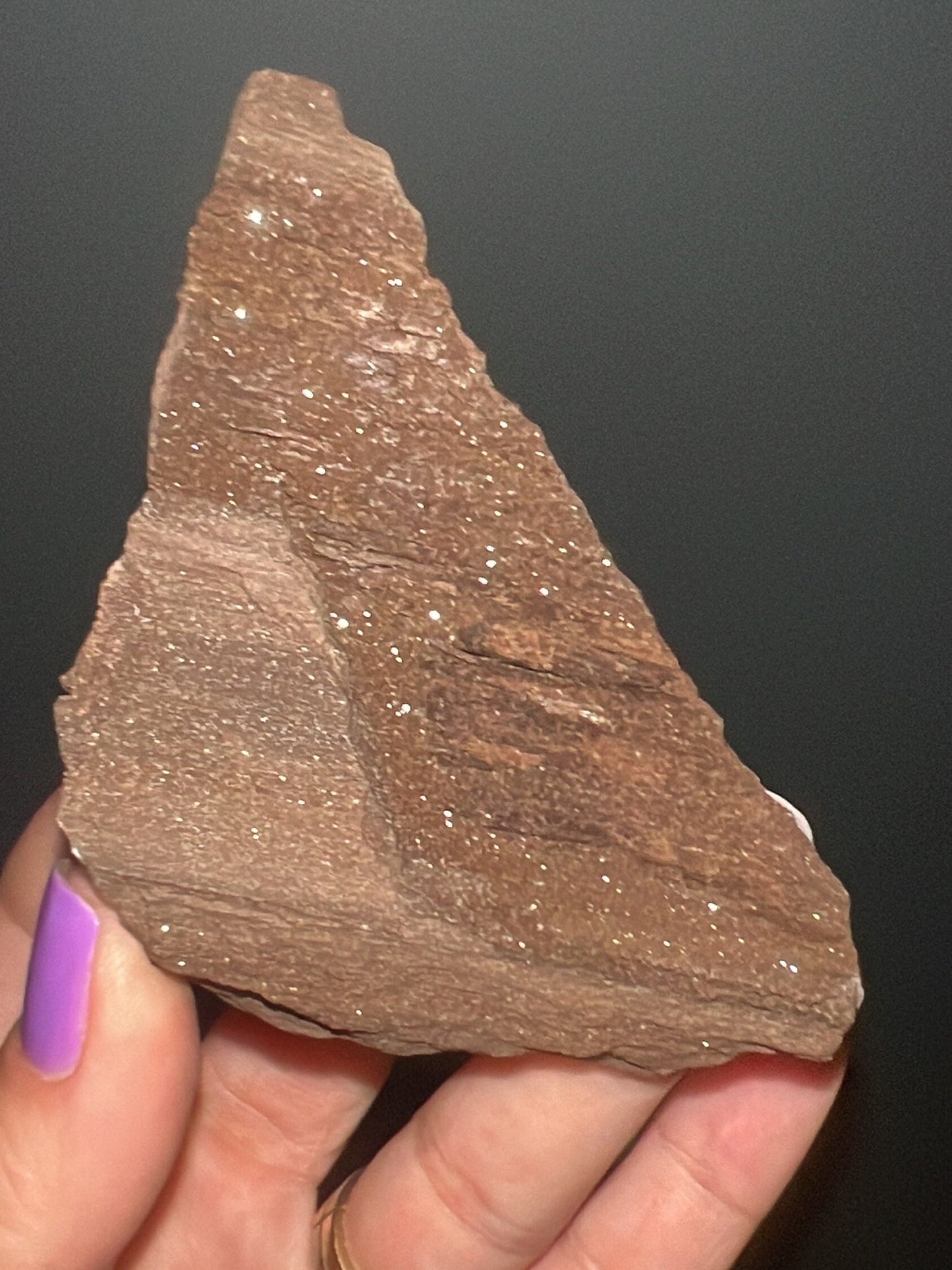 Rare!Triassic Permineralized Fossil Wood with Sparkling Druzy Crystals From Germany