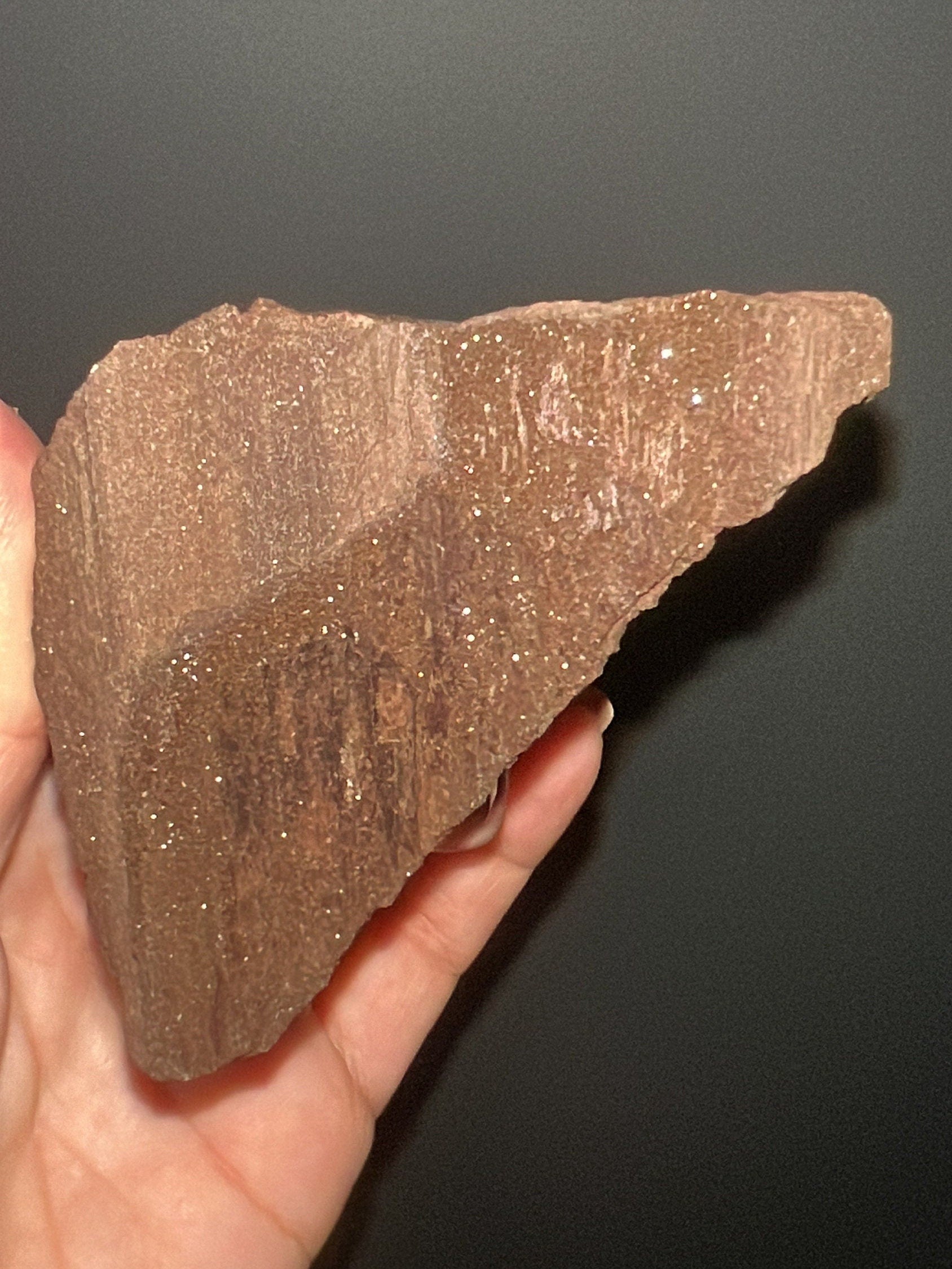 Rare!Triassic Permineralized Fossil Wood with Sparkling Druzy Crystals From Germany