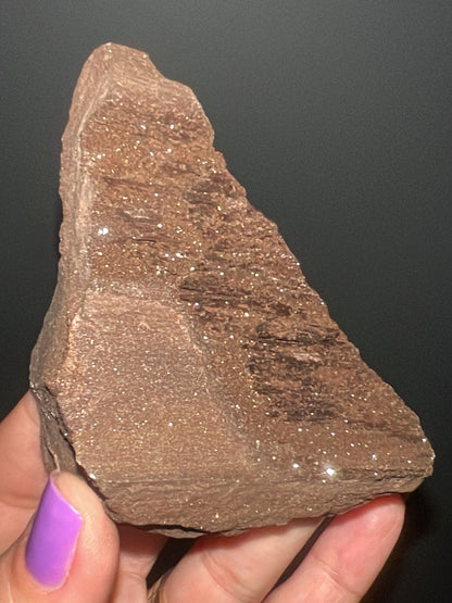 Rare!Triassic Permineralized Fossil Wood with Sparkling Druzy Crystals From Germany