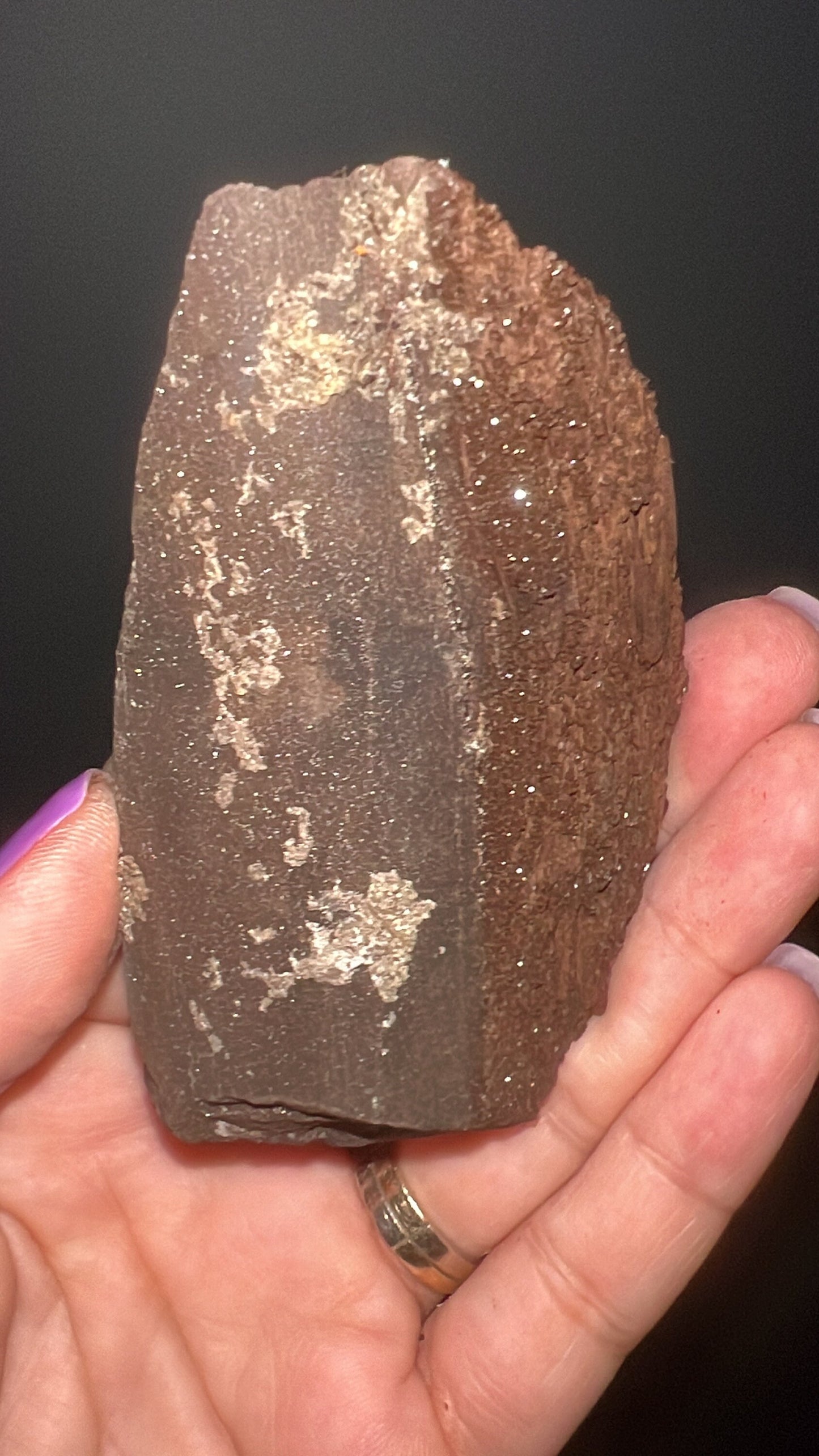 Rare!Triassic Permineralized Fossil Wood with Sparkling Druzy Crystals From Germany