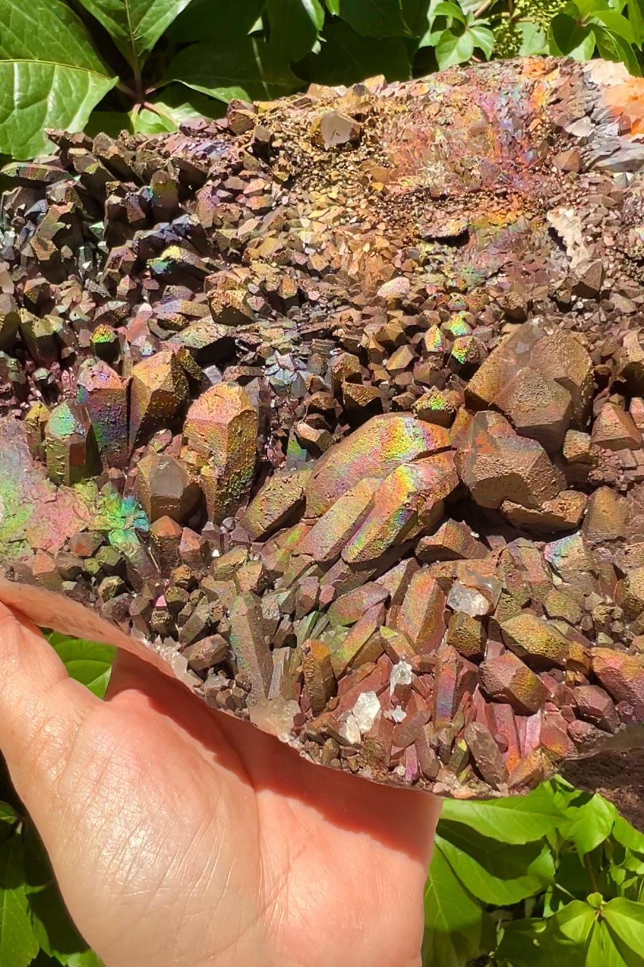 XXL Size! Quartz with Rainbow Goethite Specimen