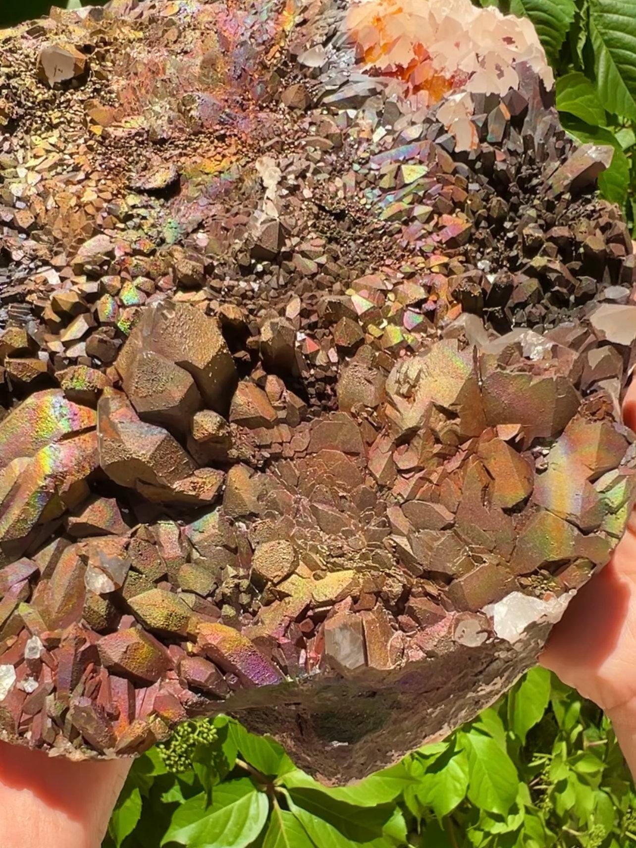 XXL Size! Quartz with Rainbow Goethite Specimen