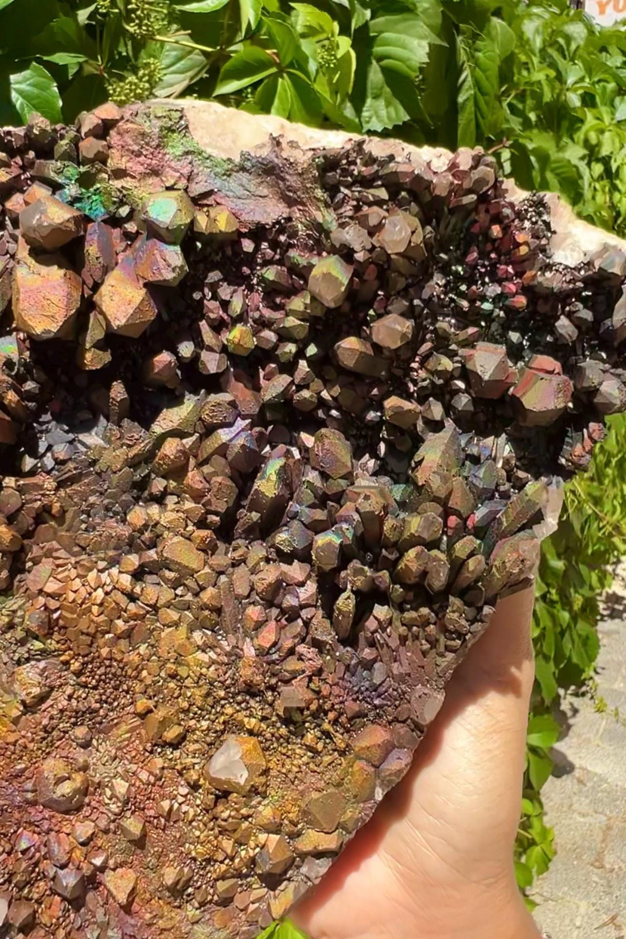 XXL Size! Quartz with Rainbow Goethite Specimen