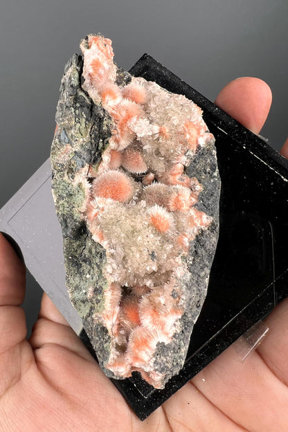 New! Amazing Piece for collection, Orange Thomsonite with Mesolite Specimen from India