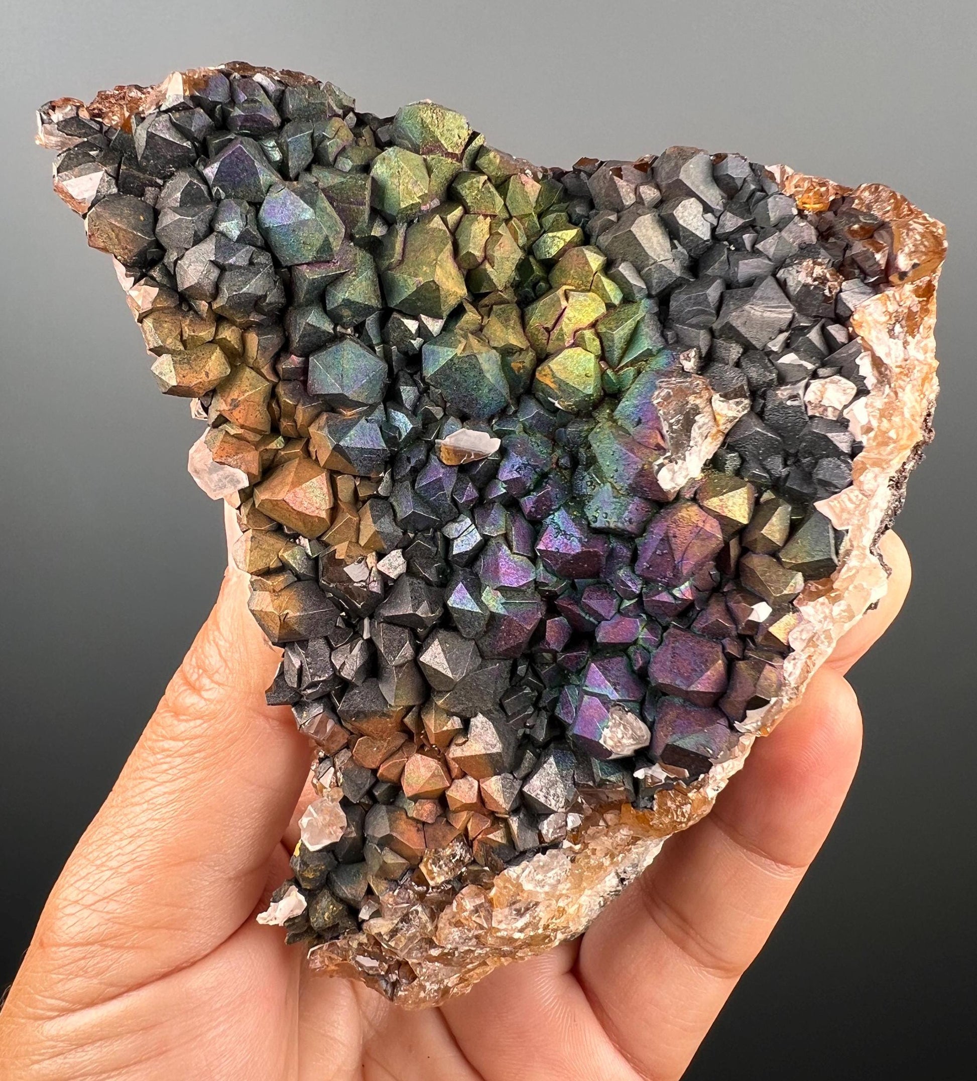 Rare, New Find! Irisdecent Colorful Goethite with Quartz Specimen