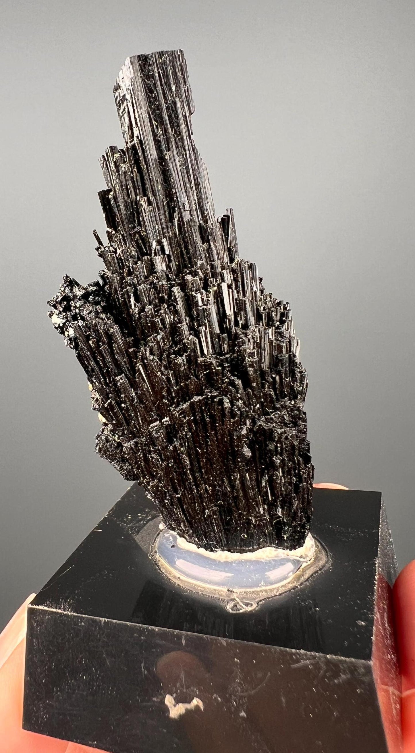 Black Tourmaline! Acicular Black Tourmaline Crystal Specimen