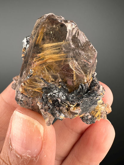 Golden Rutile Crystal with Hematite Specimen