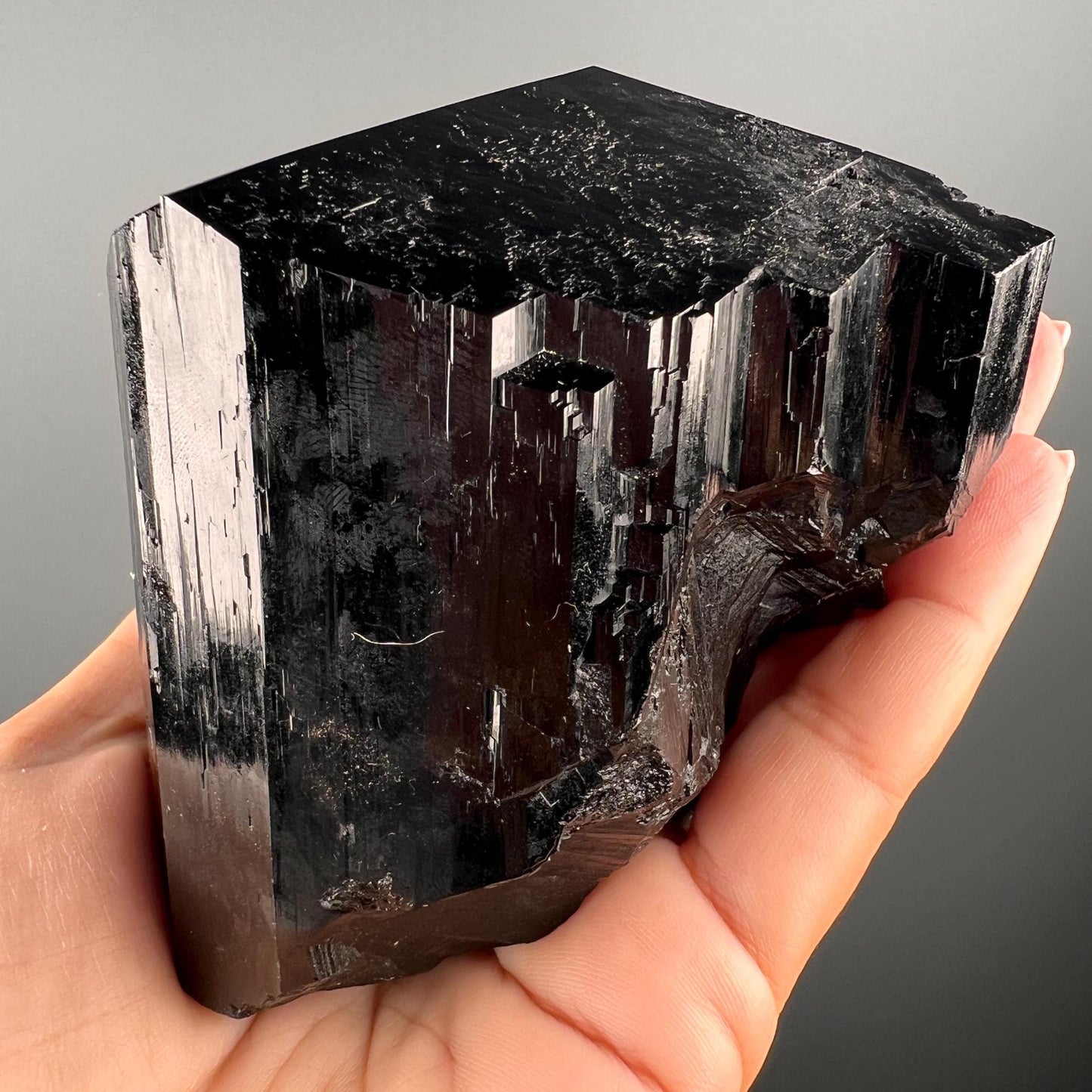 Protection! Large Size Black Tourmaline Crystal