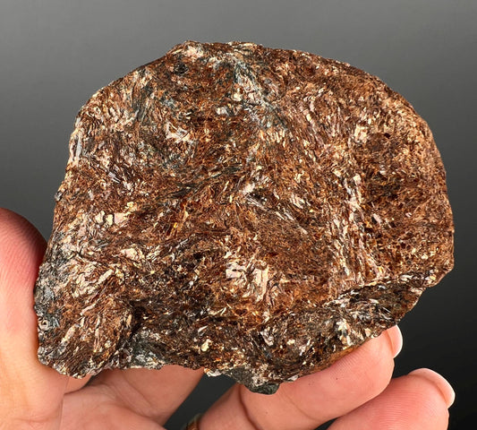 Lustrous! Brown Astrophyllite Crystal Specimen